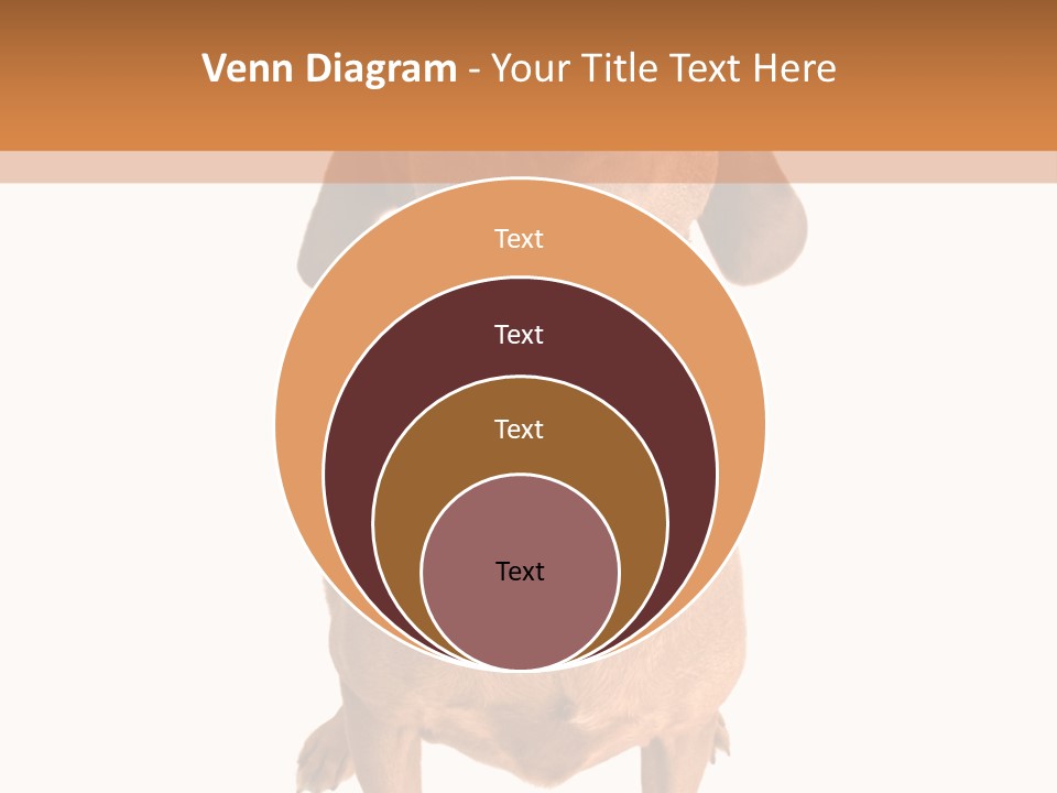 Business Relaxation Of The Businessman. Isolated Over White Background PowerPoint Template