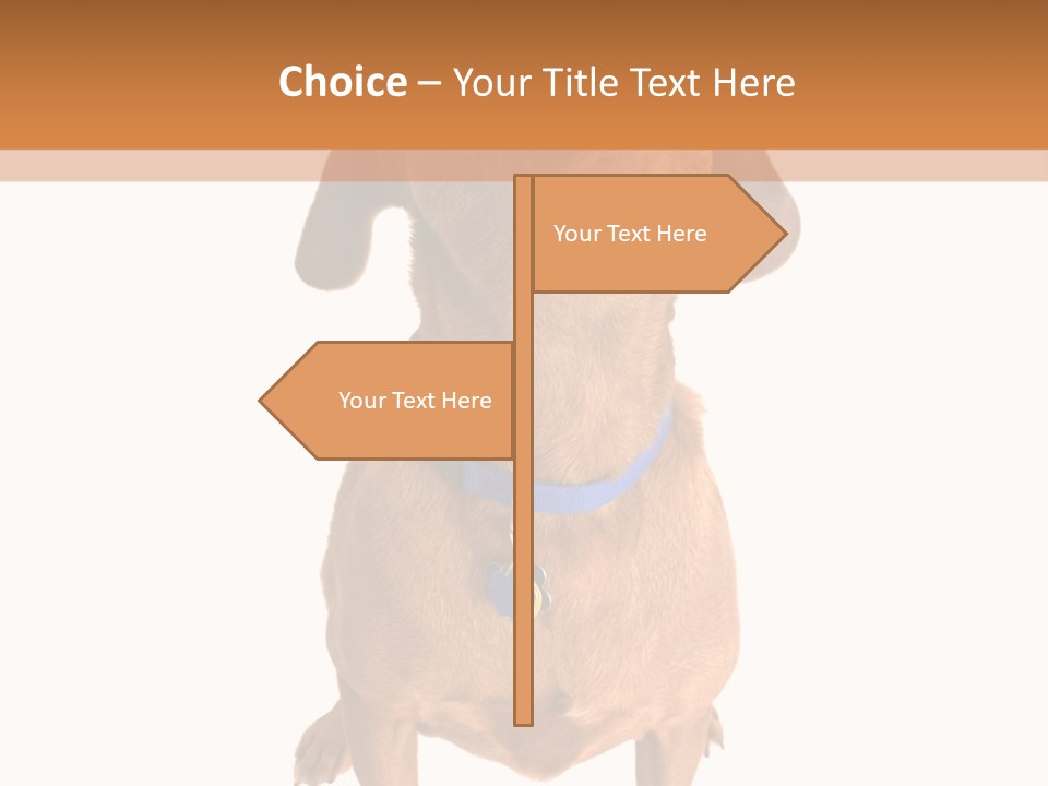 Business Relaxation Of The Businessman. Isolated Over White Background PowerPoint Template