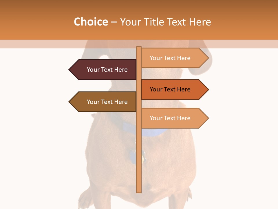 Business Relaxation Of The Businessman. Isolated Over White Background PowerPoint Template