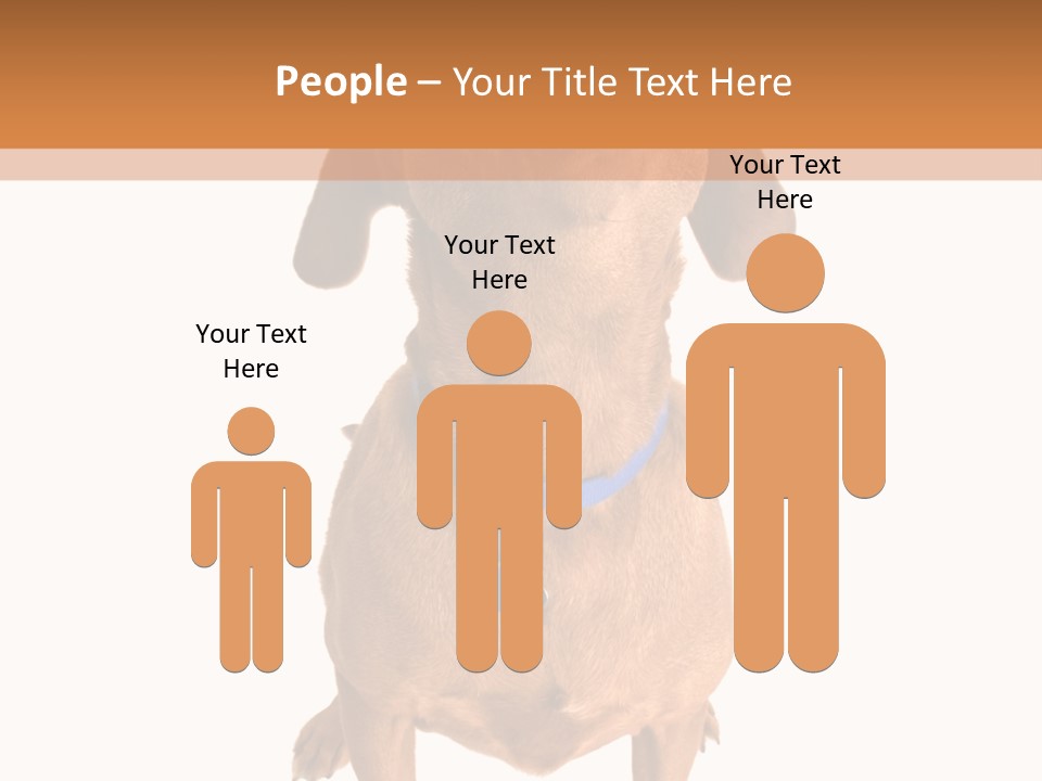 Business Relaxation Of The Businessman. Isolated Over White Background PowerPoint Template