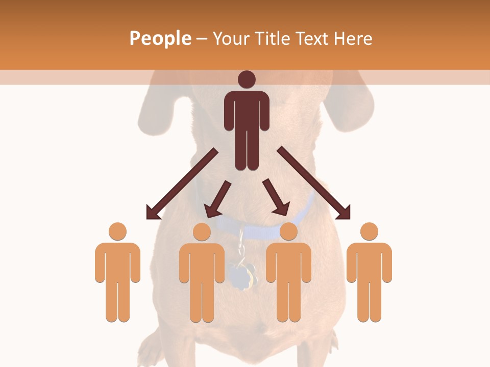 Business Relaxation Of The Businessman. Isolated Over White Background PowerPoint Template