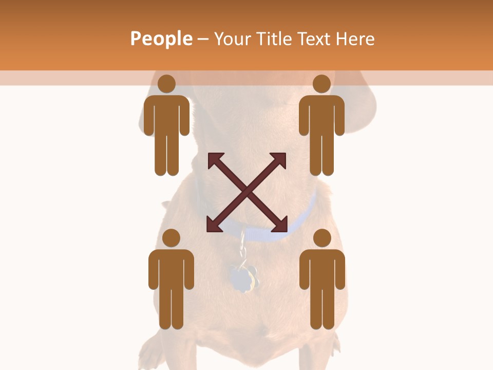 Business Relaxation Of The Businessman. Isolated Over White Background PowerPoint Template