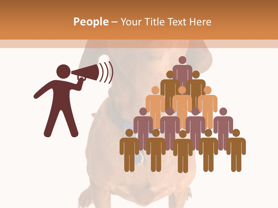 Business Relaxation Of The Businessman. Isolated Over White Background PowerPoint Template