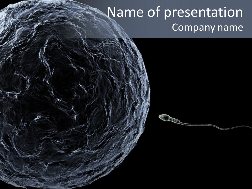 A Sperm Swimming Toward The Egg At A Microscopic Zoom Over Black PowerPoint Template