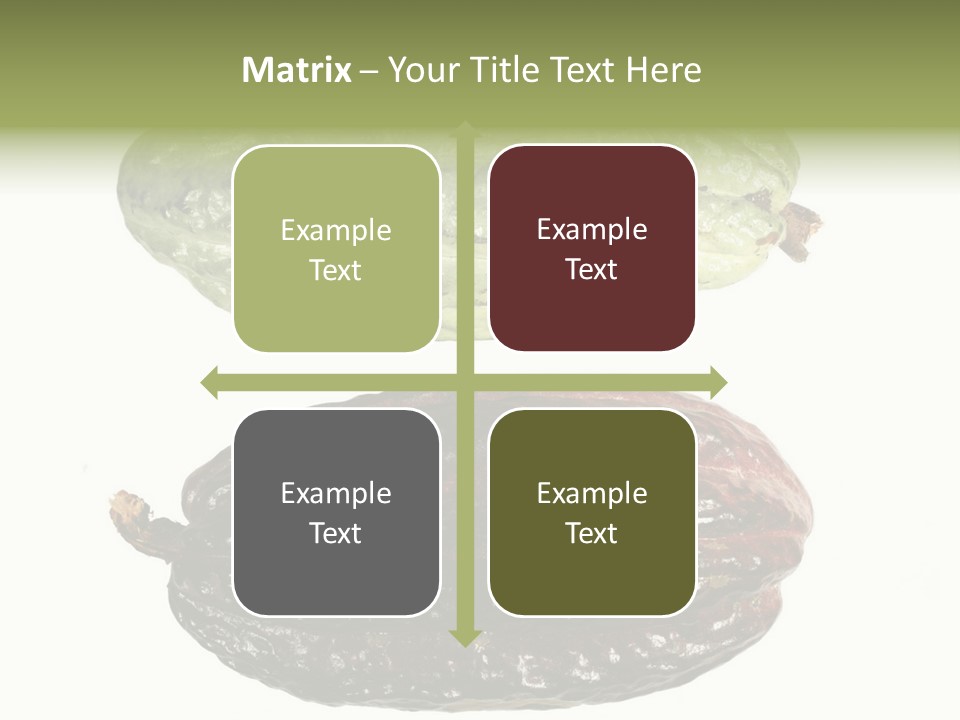 Cocoa Pods Isolated On White PowerPoint Template