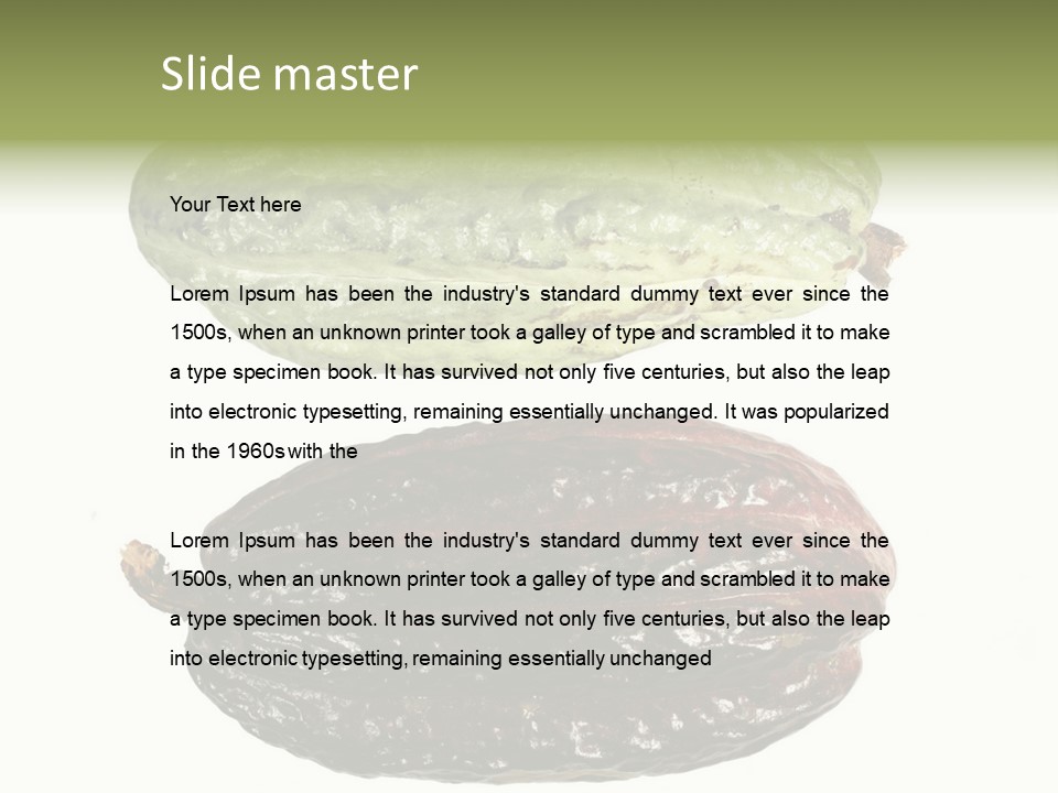 Cocoa Pods Isolated On White PowerPoint Template