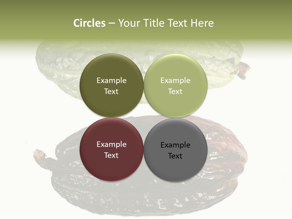 Cocoa Pods Isolated On White PowerPoint Template