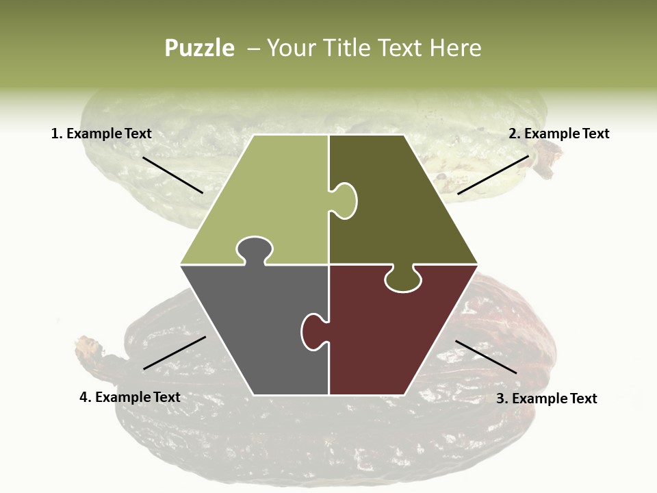 Cocoa Pods Isolated On White PowerPoint Template