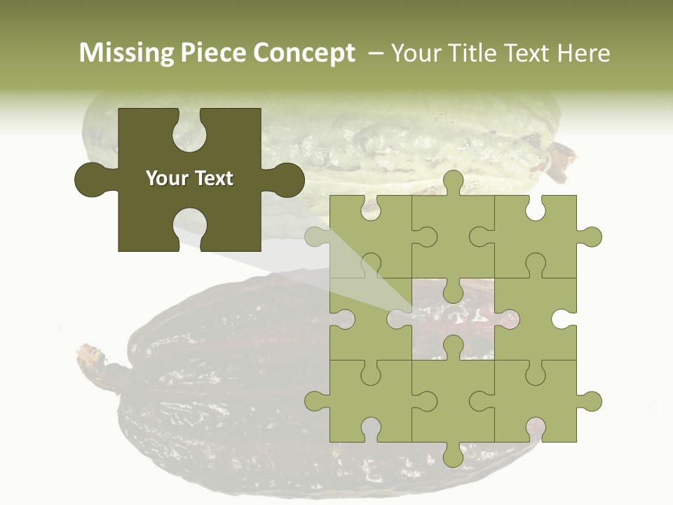 Cocoa Pods Isolated On White PowerPoint Template