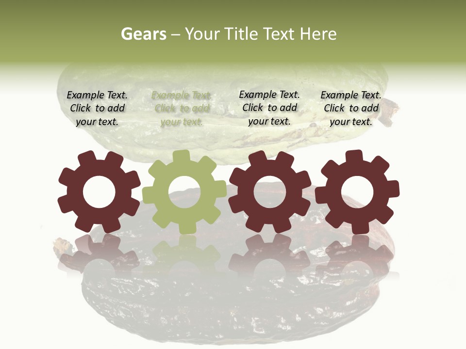 Cocoa Pods Isolated On White PowerPoint Template