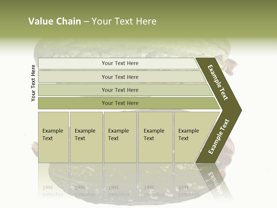 Cocoa Pods Isolated On White PowerPoint Template