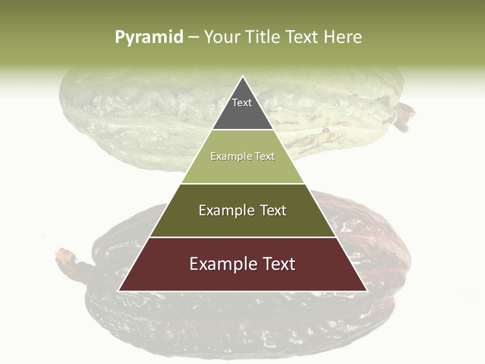 Cocoa Pods Isolated On White PowerPoint Template