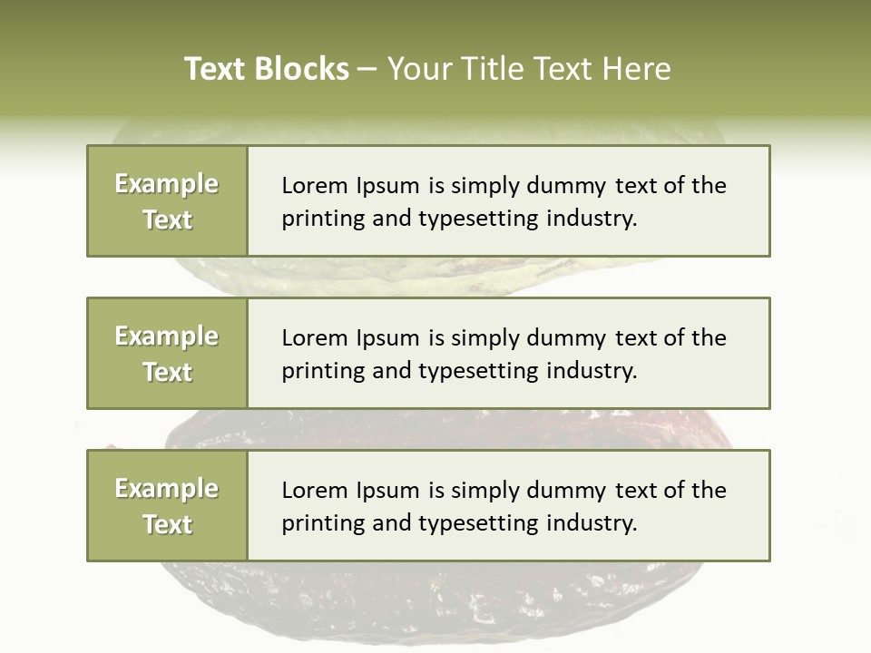 Cocoa Pods Isolated On White PowerPoint Template