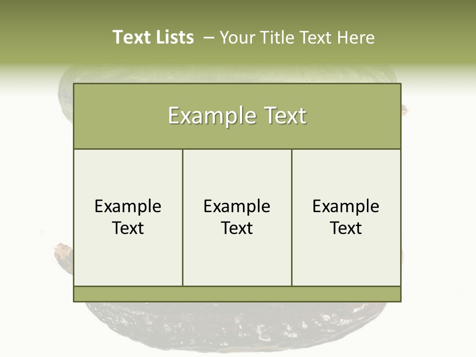 Cocoa Pods Isolated On White PowerPoint Template