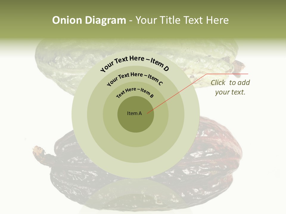 Cocoa Pods Isolated On White PowerPoint Template