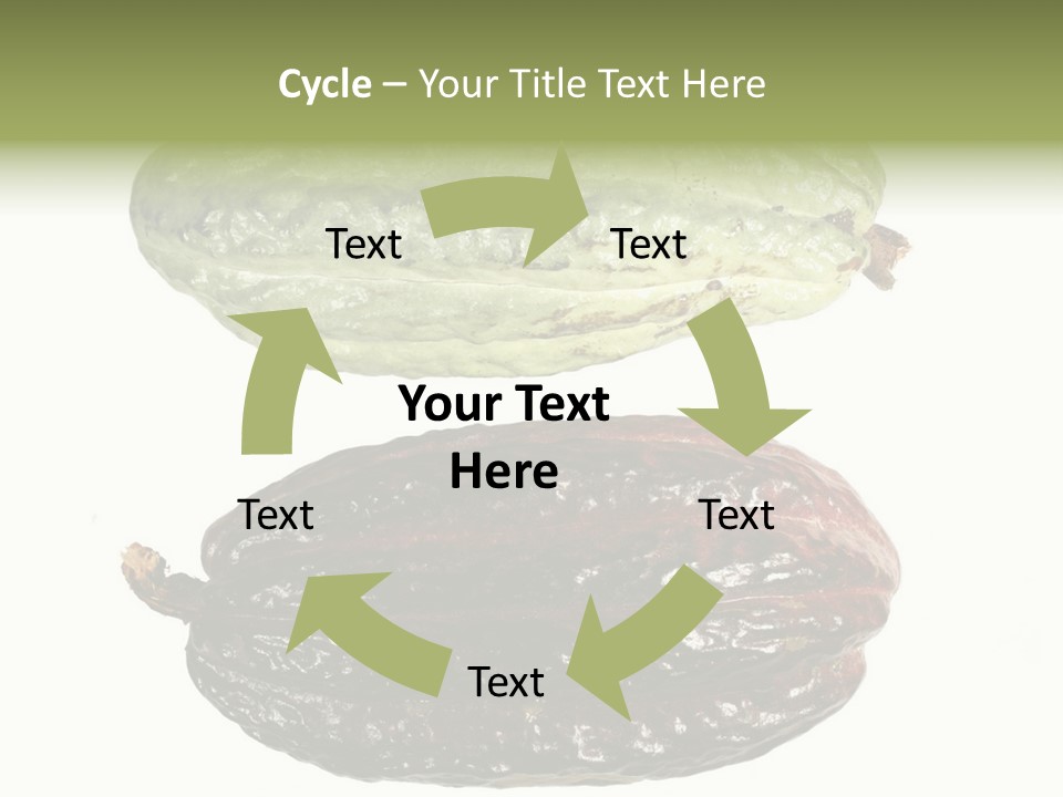 Cocoa Pods Isolated On White PowerPoint Template