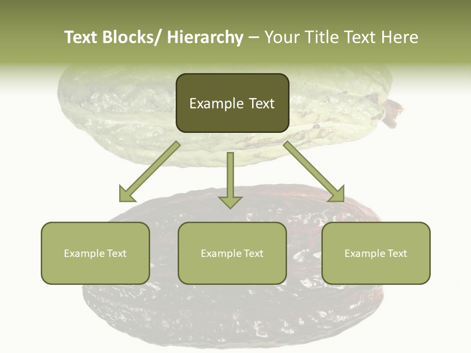 Cocoa Pods Isolated On White PowerPoint Template