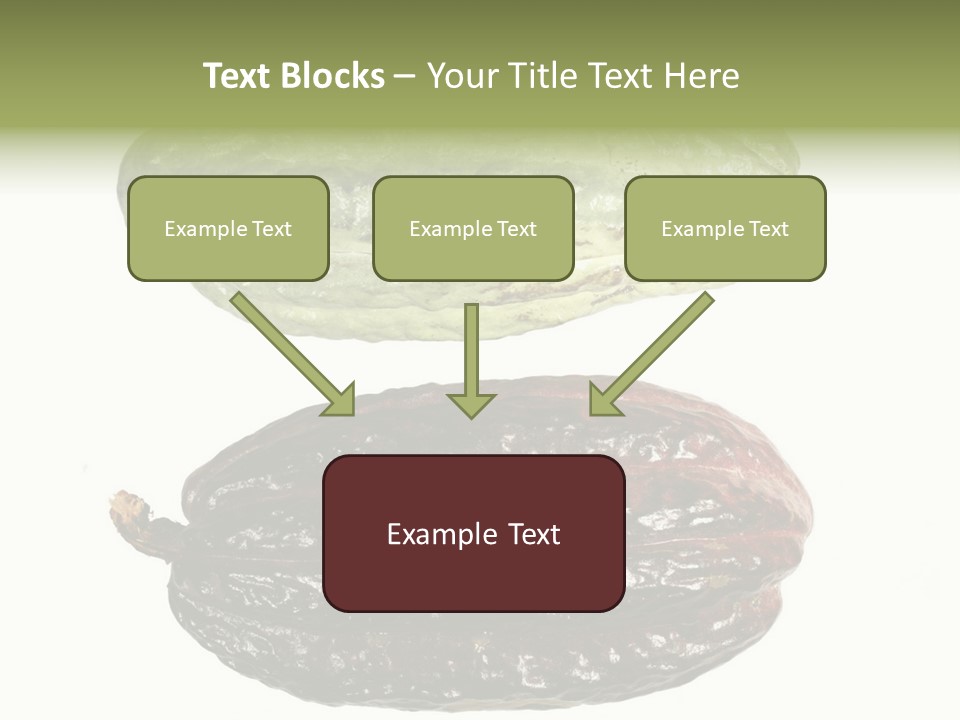 Cocoa Pods Isolated On White PowerPoint Template