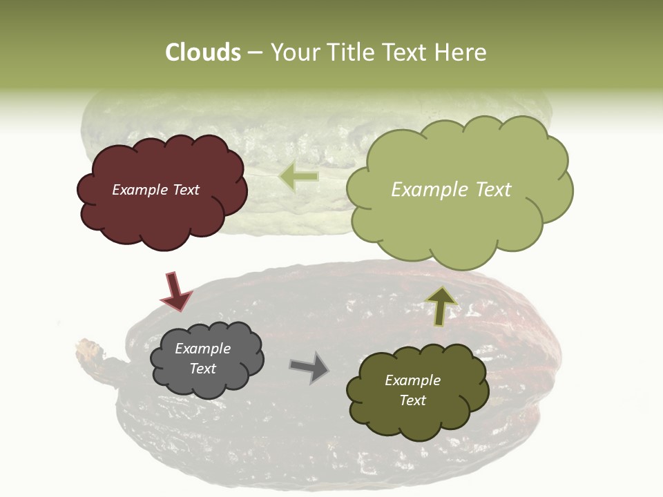 Cocoa Pods Isolated On White PowerPoint Template