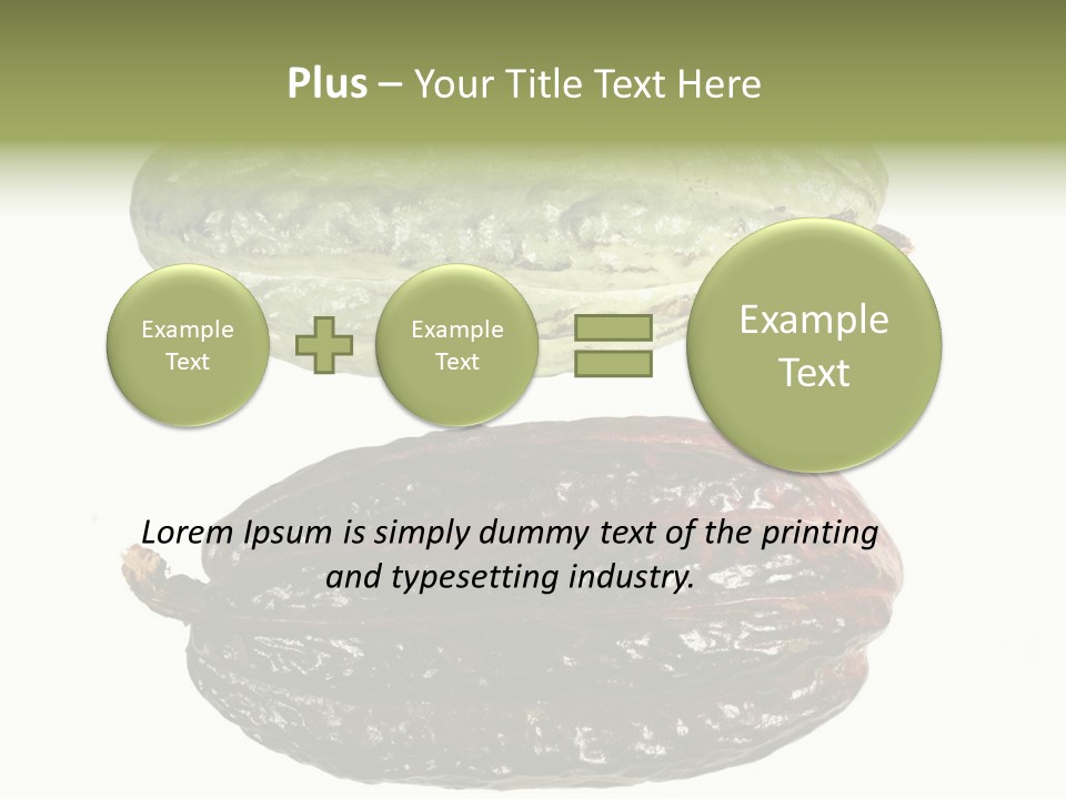 Cocoa Pods Isolated On White PowerPoint Template