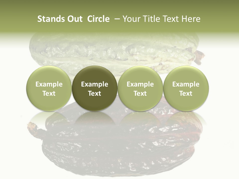 Cocoa Pods Isolated On White PowerPoint Template