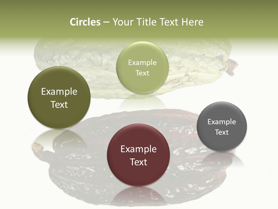 Cocoa Pods Isolated On White PowerPoint Template