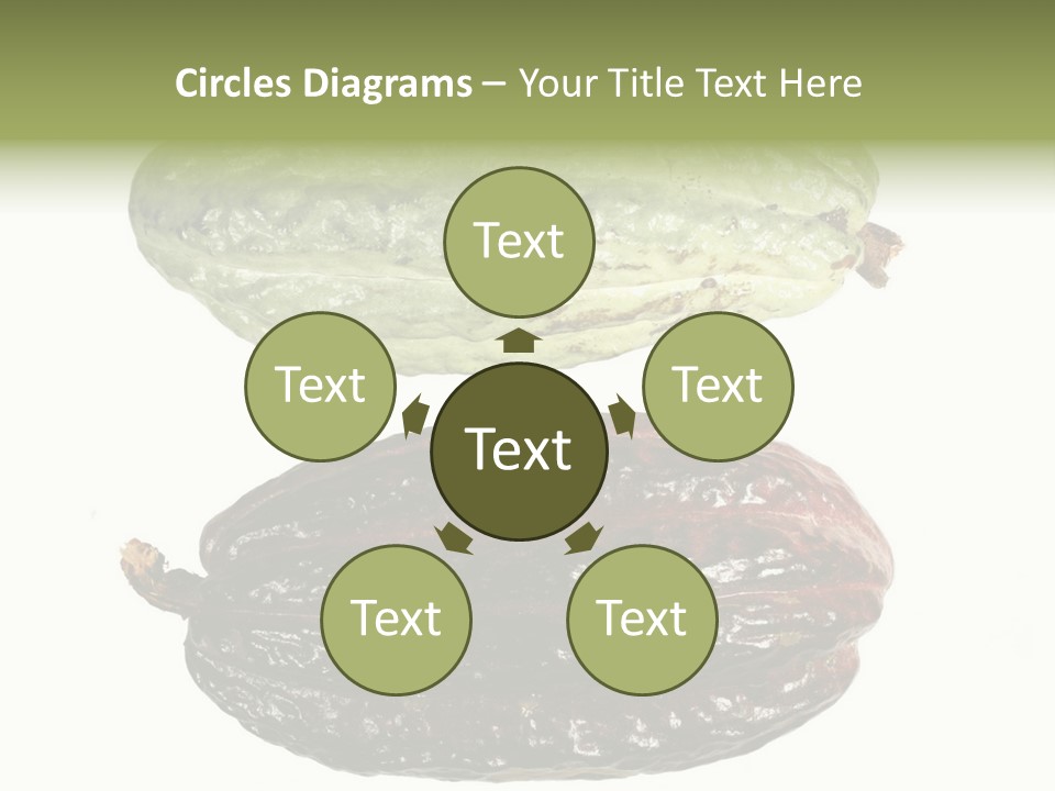 Cocoa Pods Isolated On White PowerPoint Template