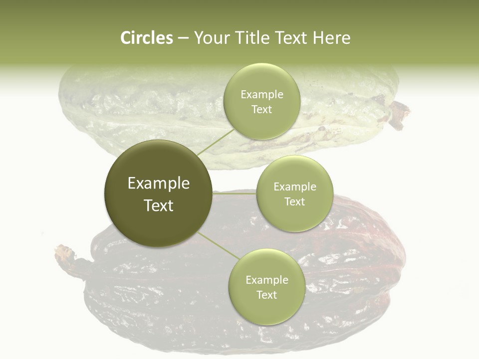 Cocoa Pods Isolated On White PowerPoint Template