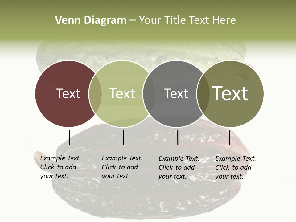 Cocoa Pods Isolated On White PowerPoint Template