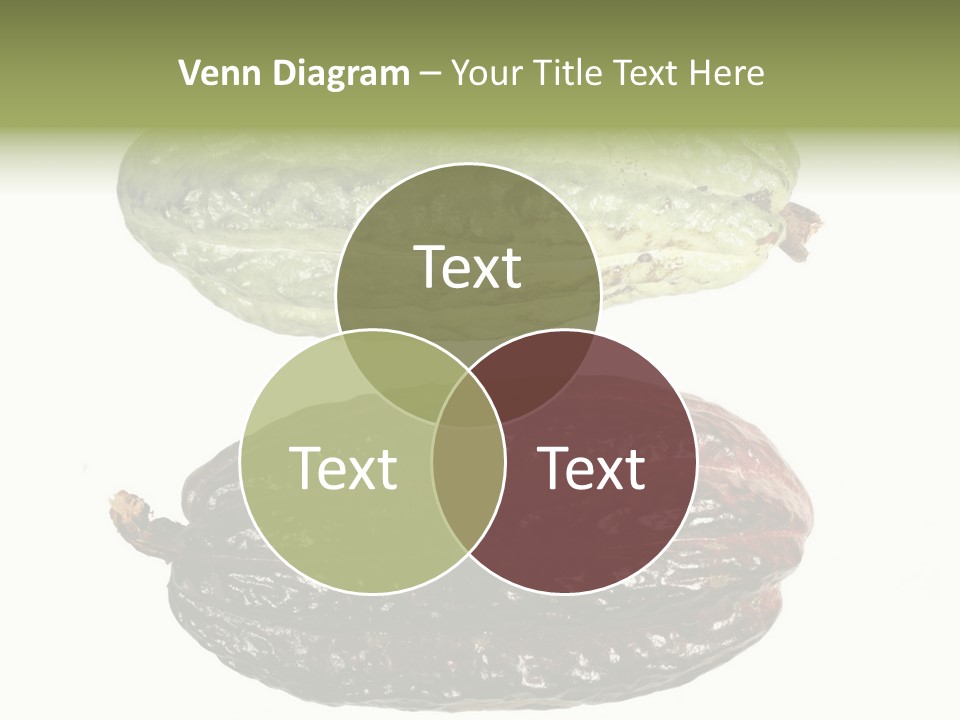 Cocoa Pods Isolated On White PowerPoint Template