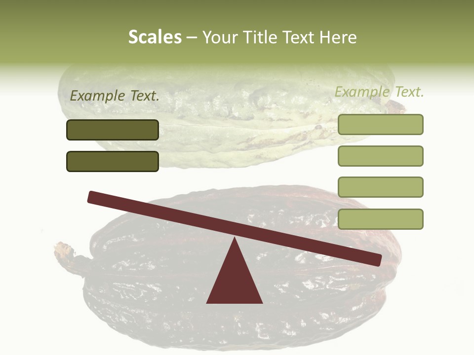 Cocoa Pods Isolated On White PowerPoint Template