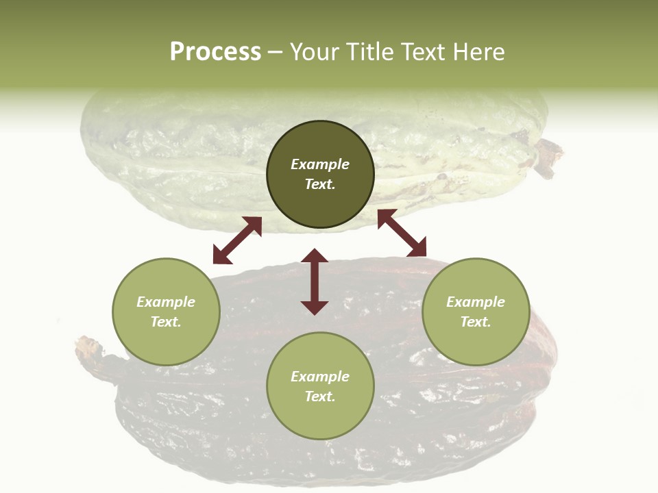 Cocoa Pods Isolated On White PowerPoint Template