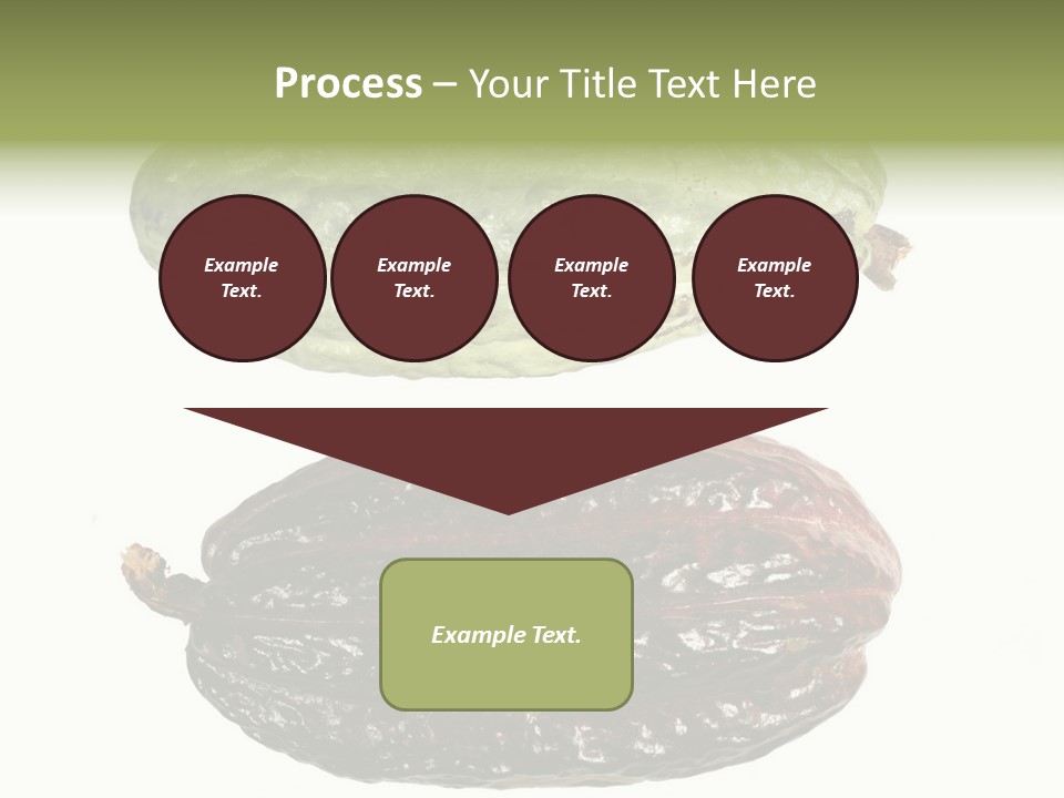 Cocoa Pods Isolated On White PowerPoint Template