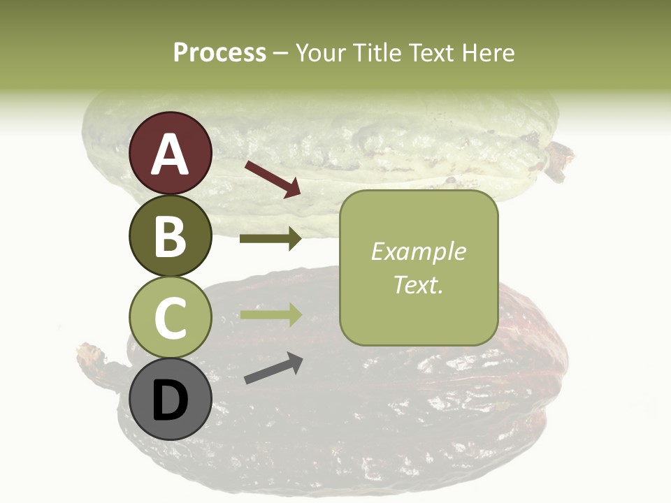 Cocoa Pods Isolated On White PowerPoint Template