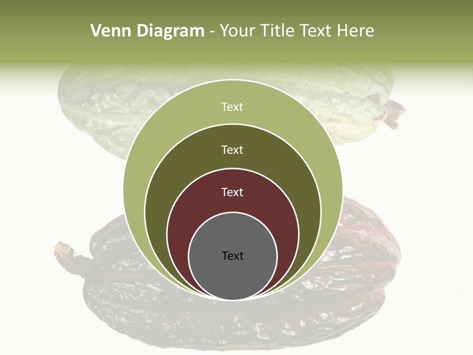 Cocoa Pods Isolated On White PowerPoint Template