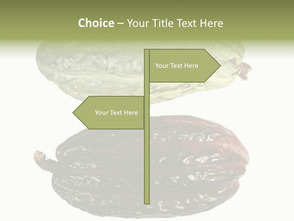 Cocoa Pods Isolated On White PowerPoint Template