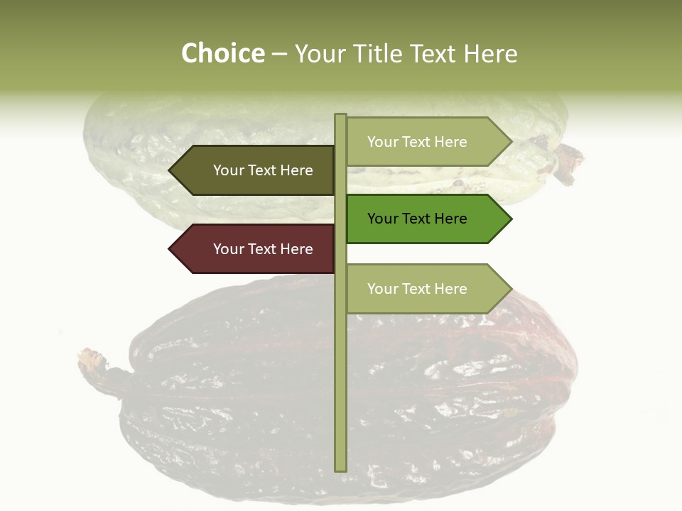 Cocoa Pods Isolated On White PowerPoint Template