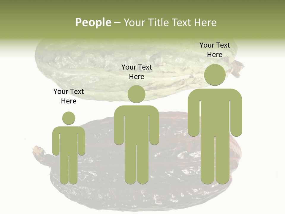 Cocoa Pods Isolated On White PowerPoint Template