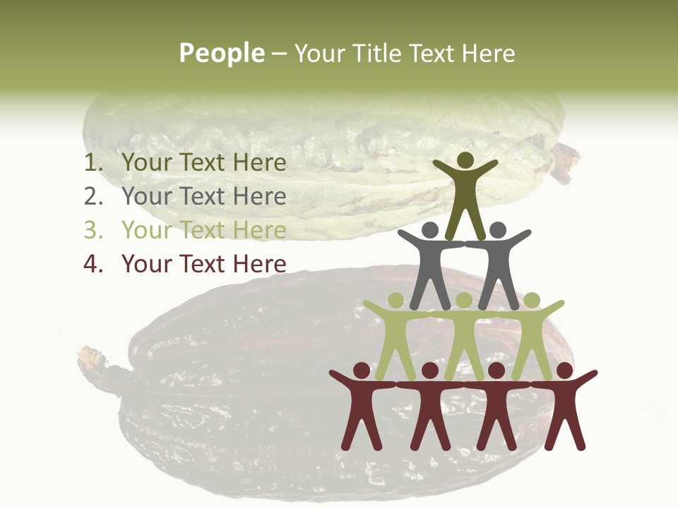 Cocoa Pods Isolated On White PowerPoint Template