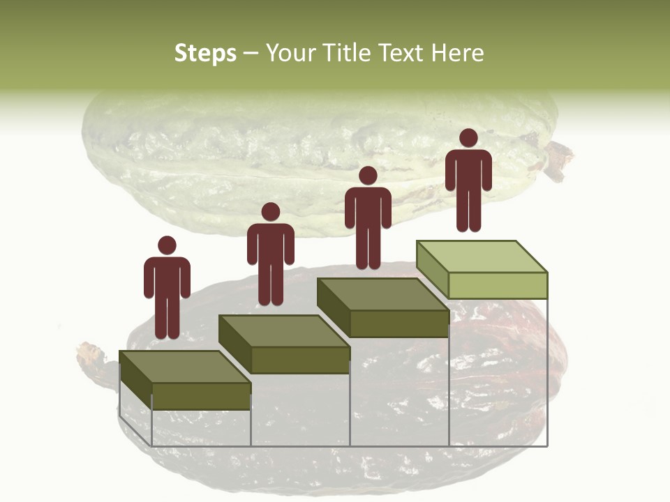 Cocoa Pods Isolated On White PowerPoint Template