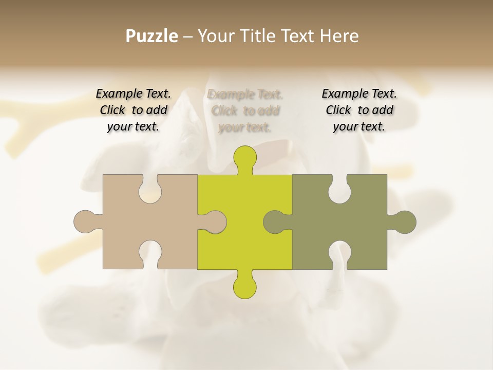 A Group Of Bones With The Words Name Of Presentation On It PowerPoint Template