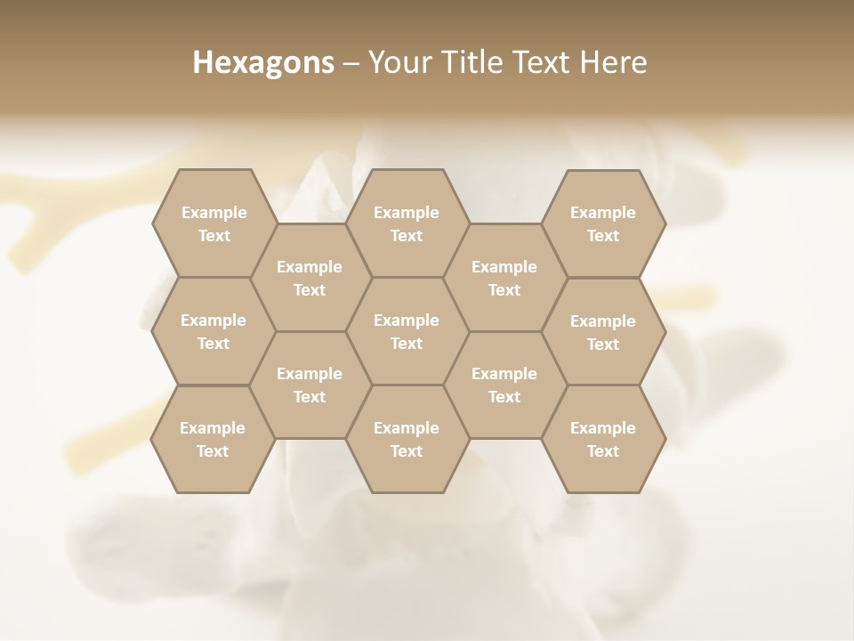 A Group Of Bones With The Words Name Of Presentation On It PowerPoint Template