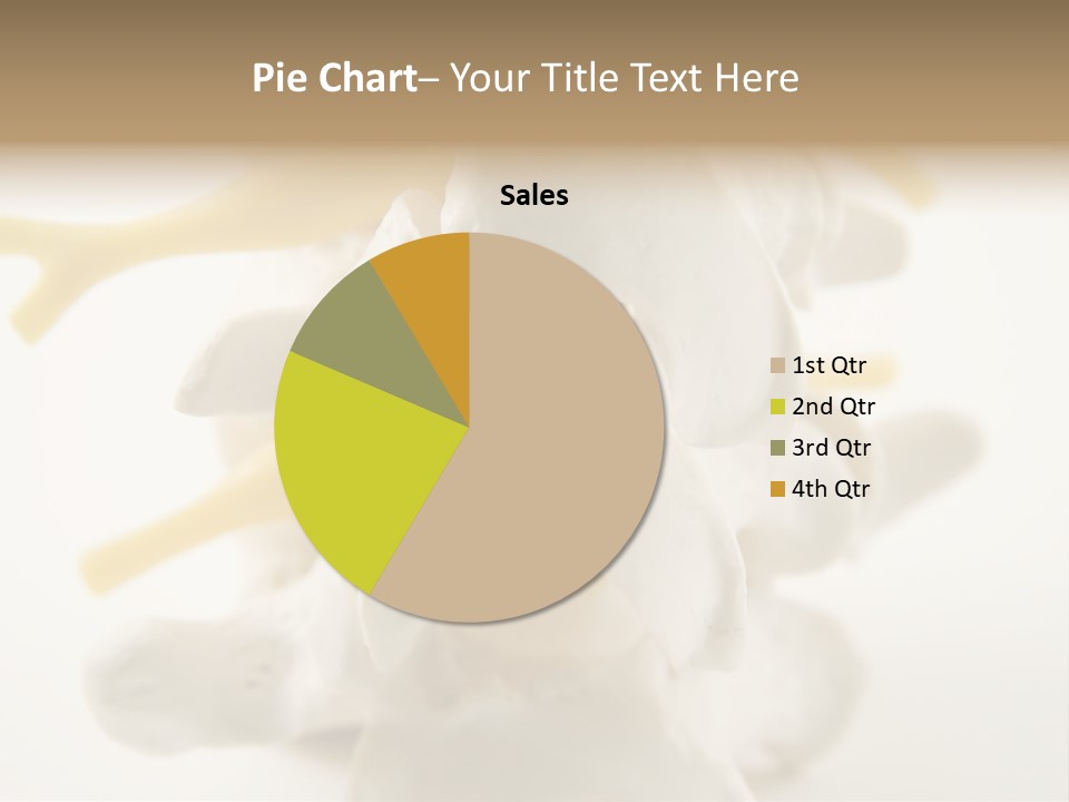 A Group Of Bones With The Words Name Of Presentation On It PowerPoint Template