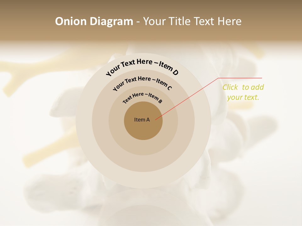 A Group Of Bones With The Words Name Of Presentation On It PowerPoint Template