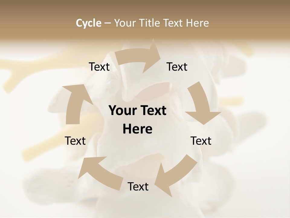 A Group Of Bones With The Words Name Of Presentation On It PowerPoint Template