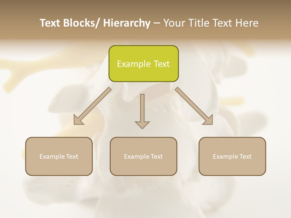 A Group Of Bones With The Words Name Of Presentation On It PowerPoint Template