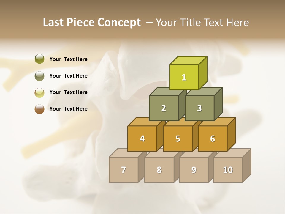 A Group Of Bones With The Words Name Of Presentation On It PowerPoint Template