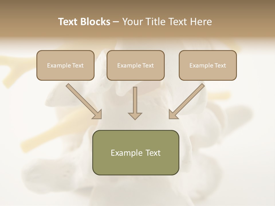 A Group Of Bones With The Words Name Of Presentation On It PowerPoint Template