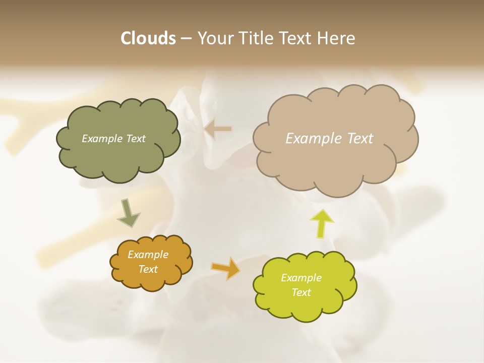 A Group Of Bones With The Words Name Of Presentation On It PowerPoint Template