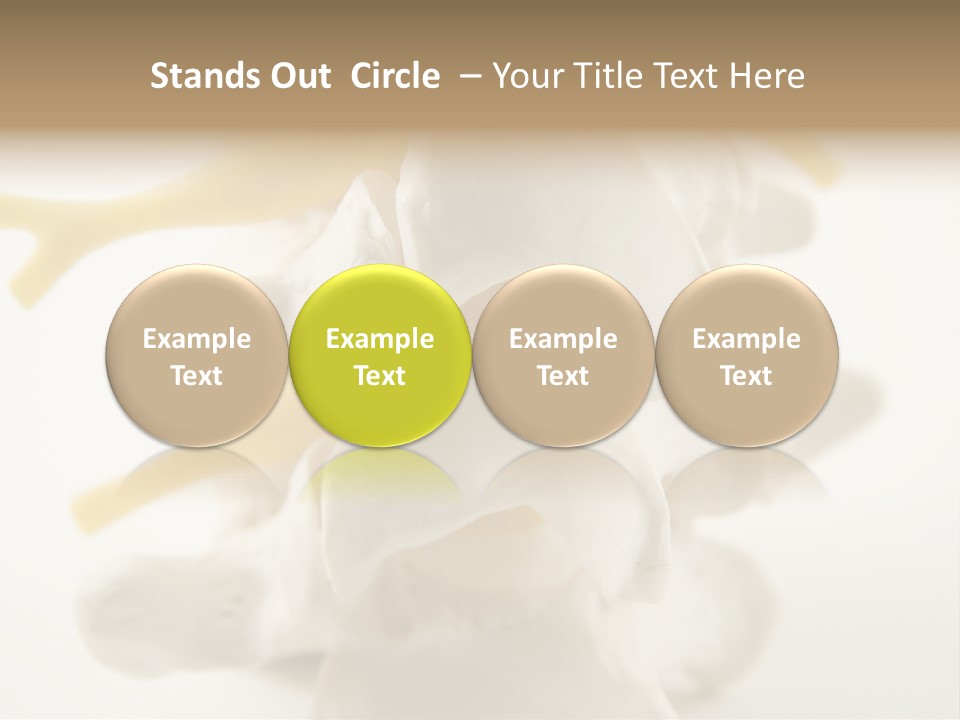 A Group Of Bones With The Words Name Of Presentation On It PowerPoint Template